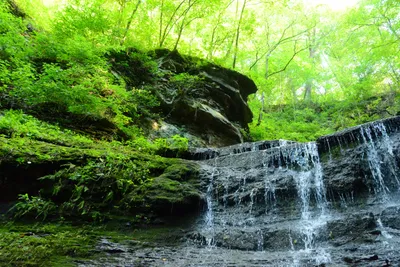 DSC_2788 (Large).JPG